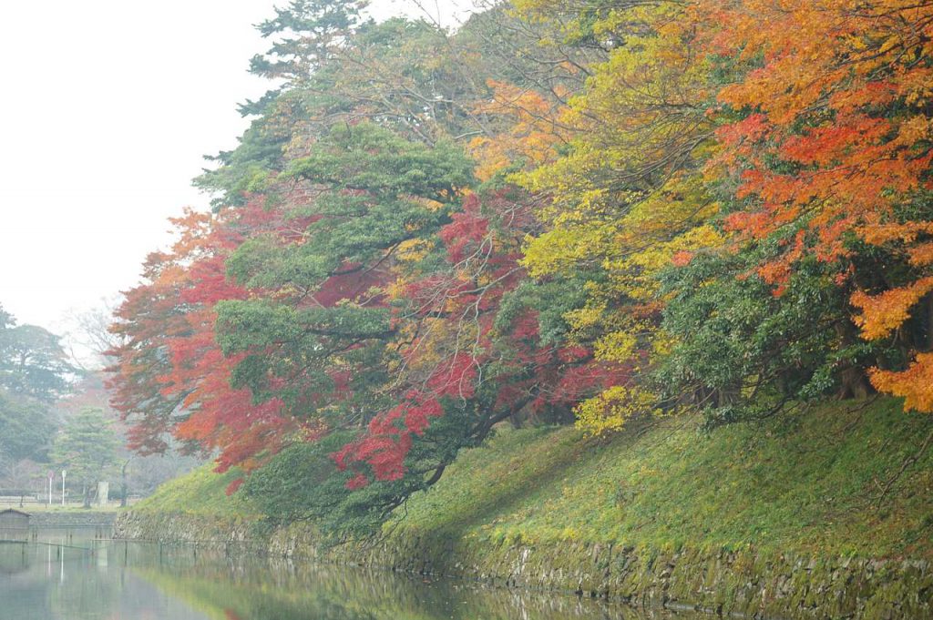 彦根城と紅葉