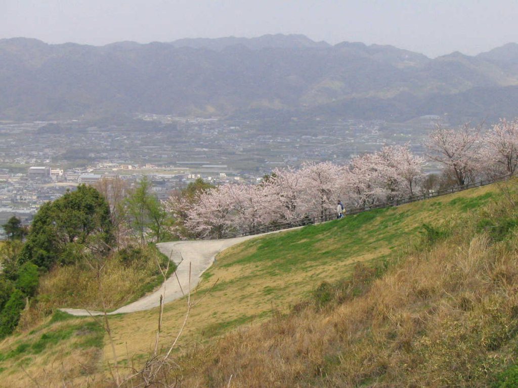 百合山・最初ヶ峰の桜