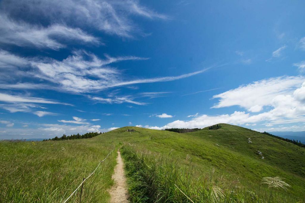 夏の終わりの生石高原の写真画像