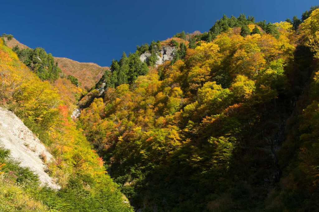奥志賀～秋山郷の紅葉の写真画像