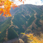 上北山村ナメゴ谷