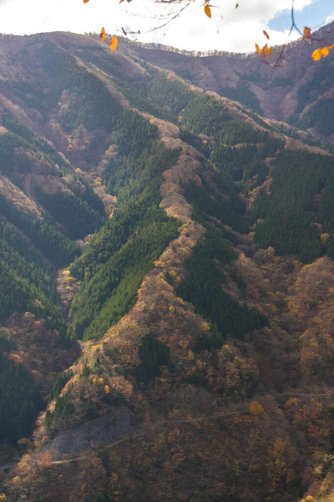 上北山村ナメゴ谷