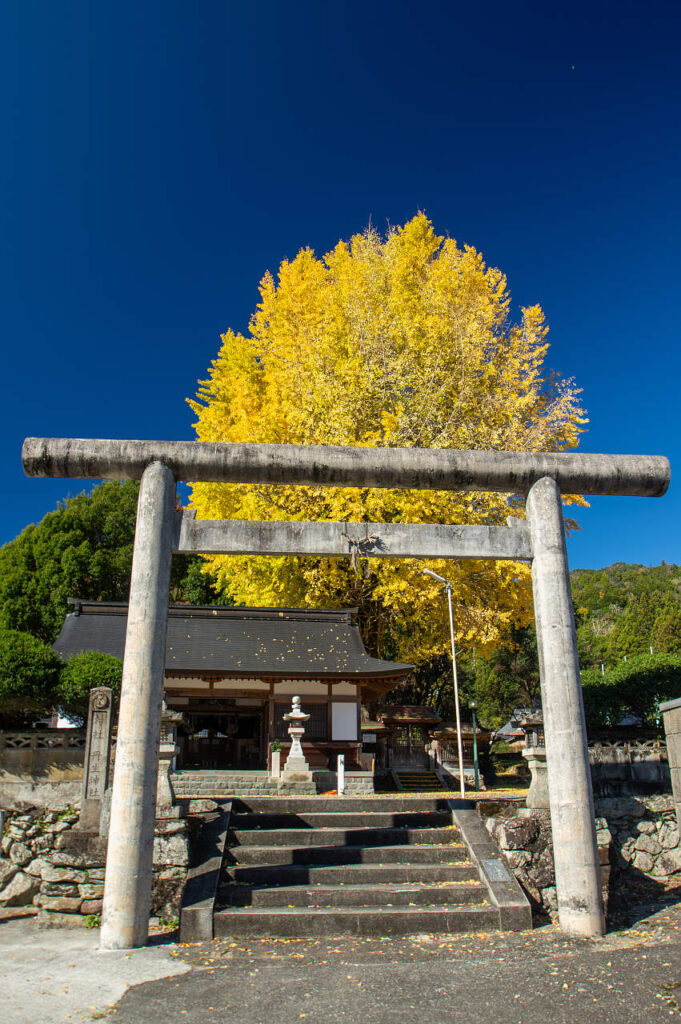 長谷丹生神社