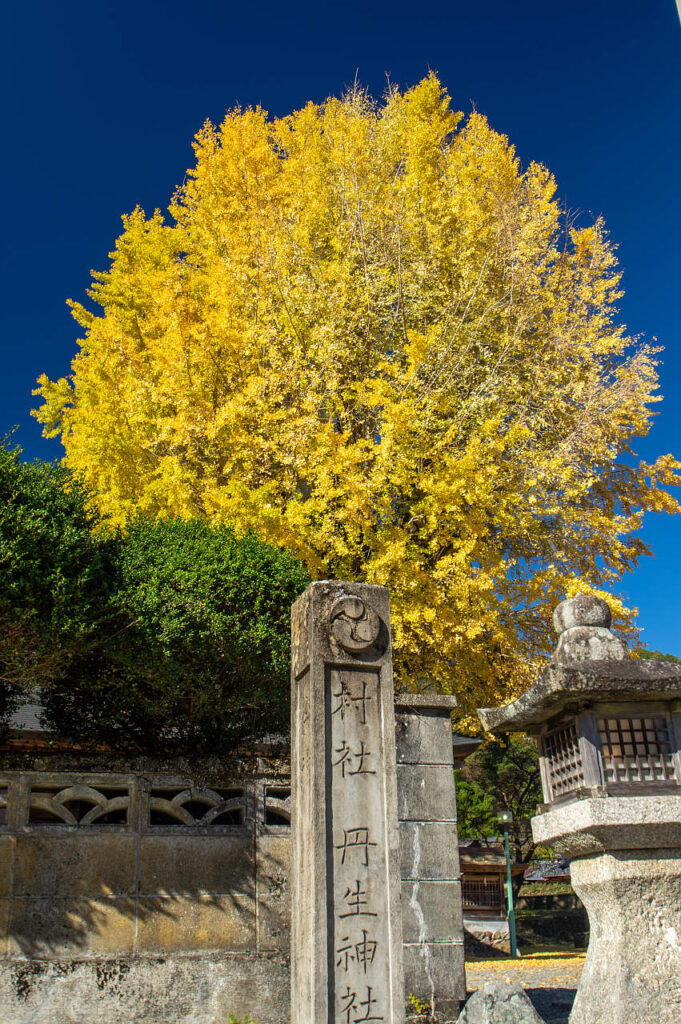 長谷丹生神社