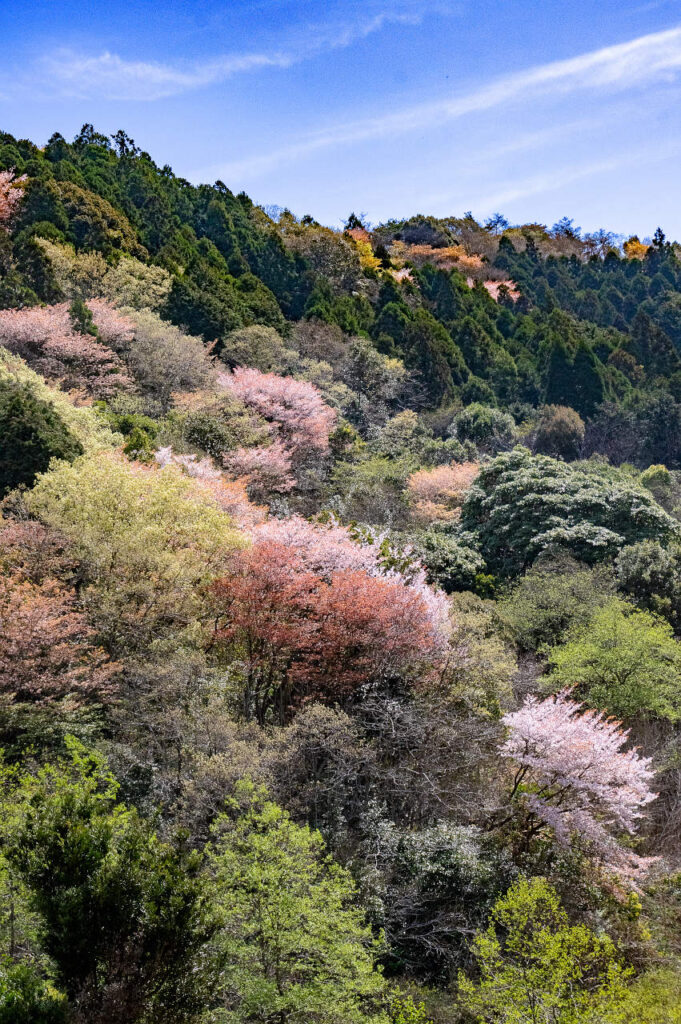 春の山