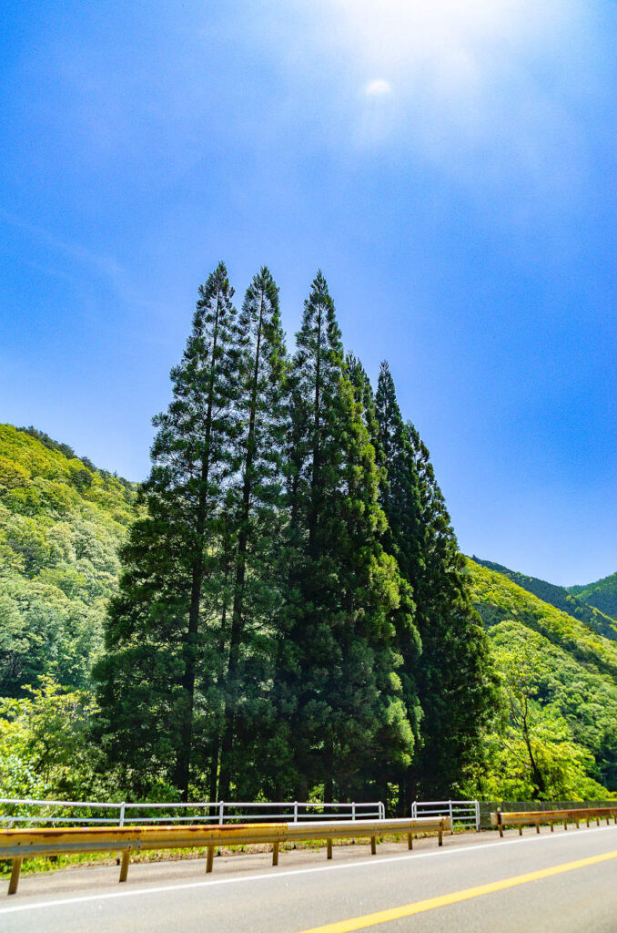 飛騨地方の新緑