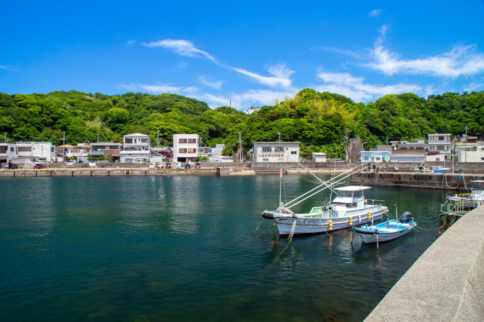 大崎浦