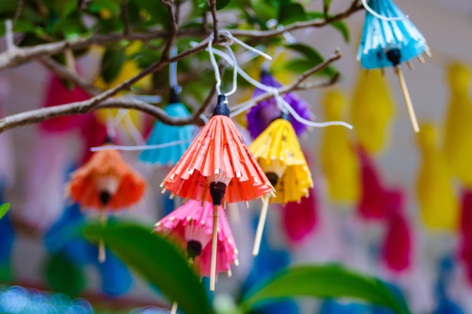 春日神社の風鈴祭り