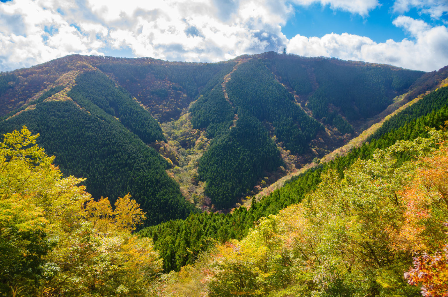 高野山～高野龍神スカイライン～城ケ森林道の紅葉