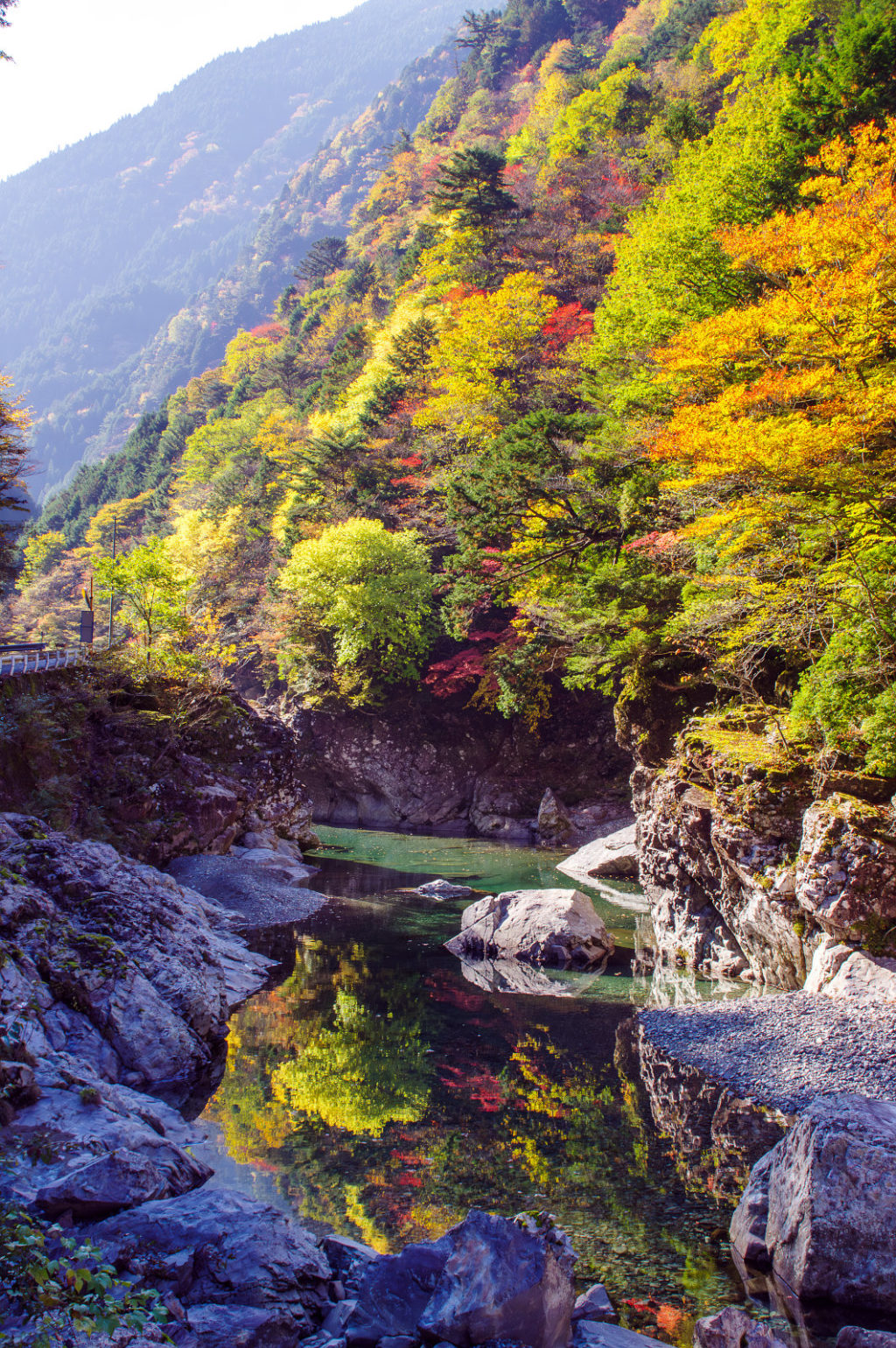 奈良県天の川の紅葉