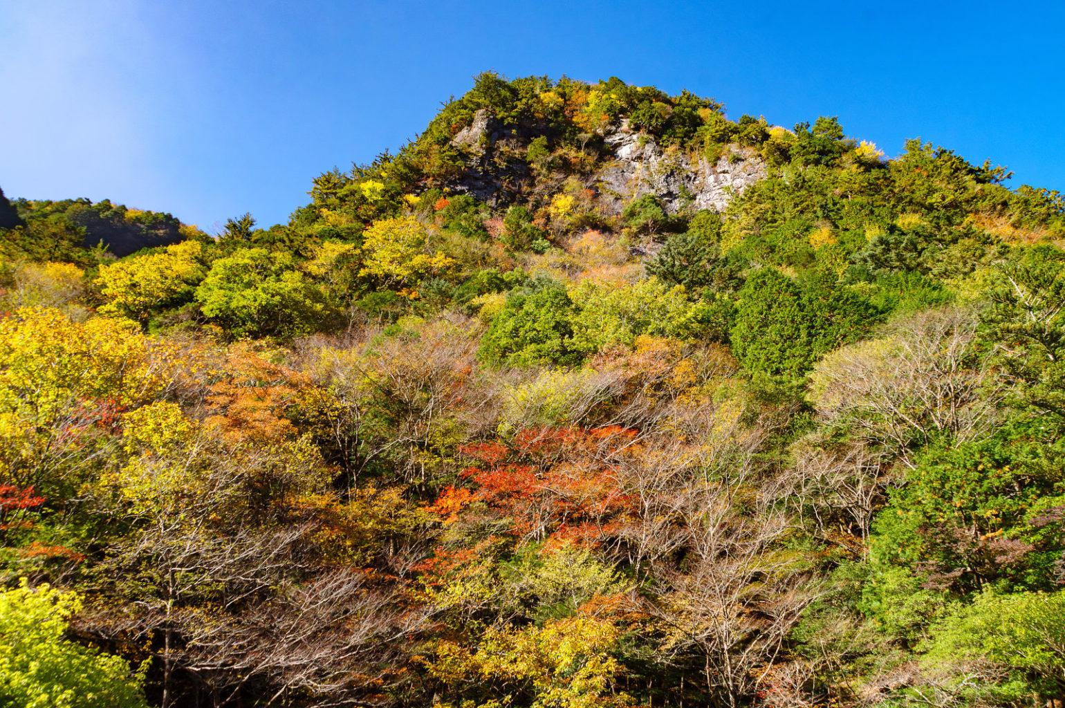 奈良県天の川の紅葉