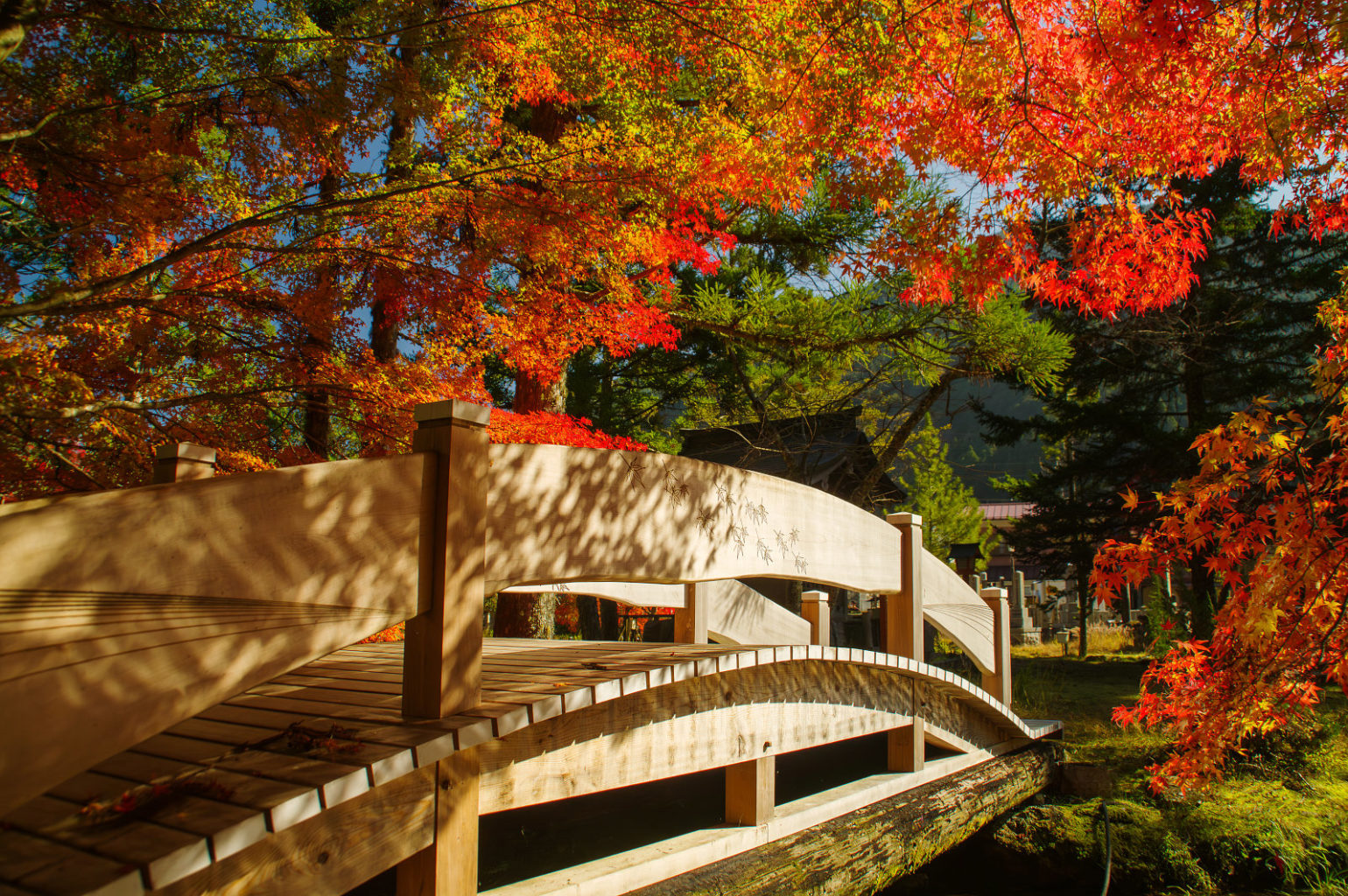 天川村　洞川　龍泉寺の紅葉