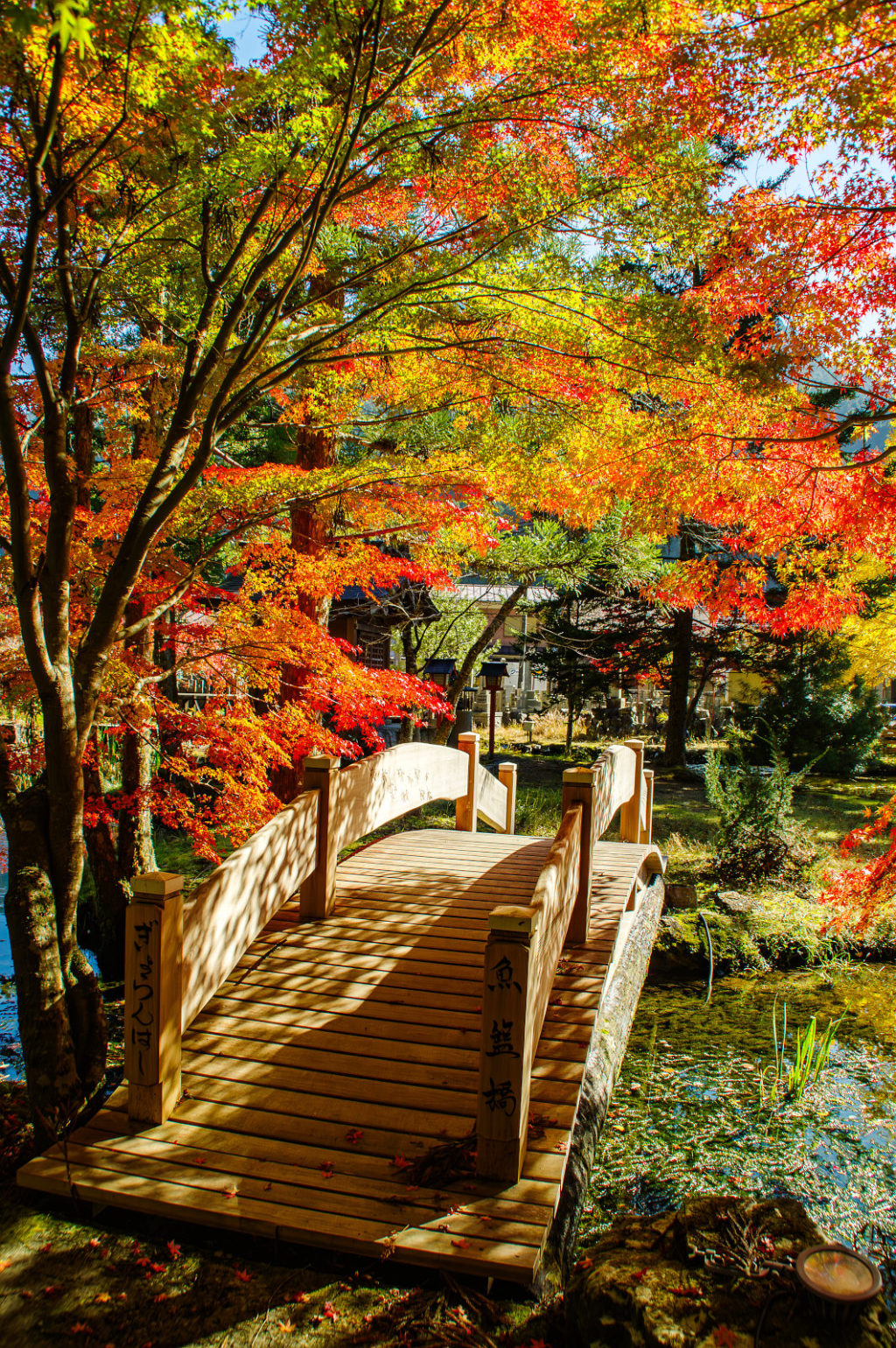 天川村　洞川　龍泉寺の紅葉