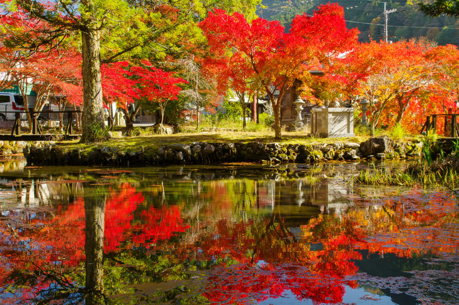 天川村　洞川　龍泉寺の紅葉