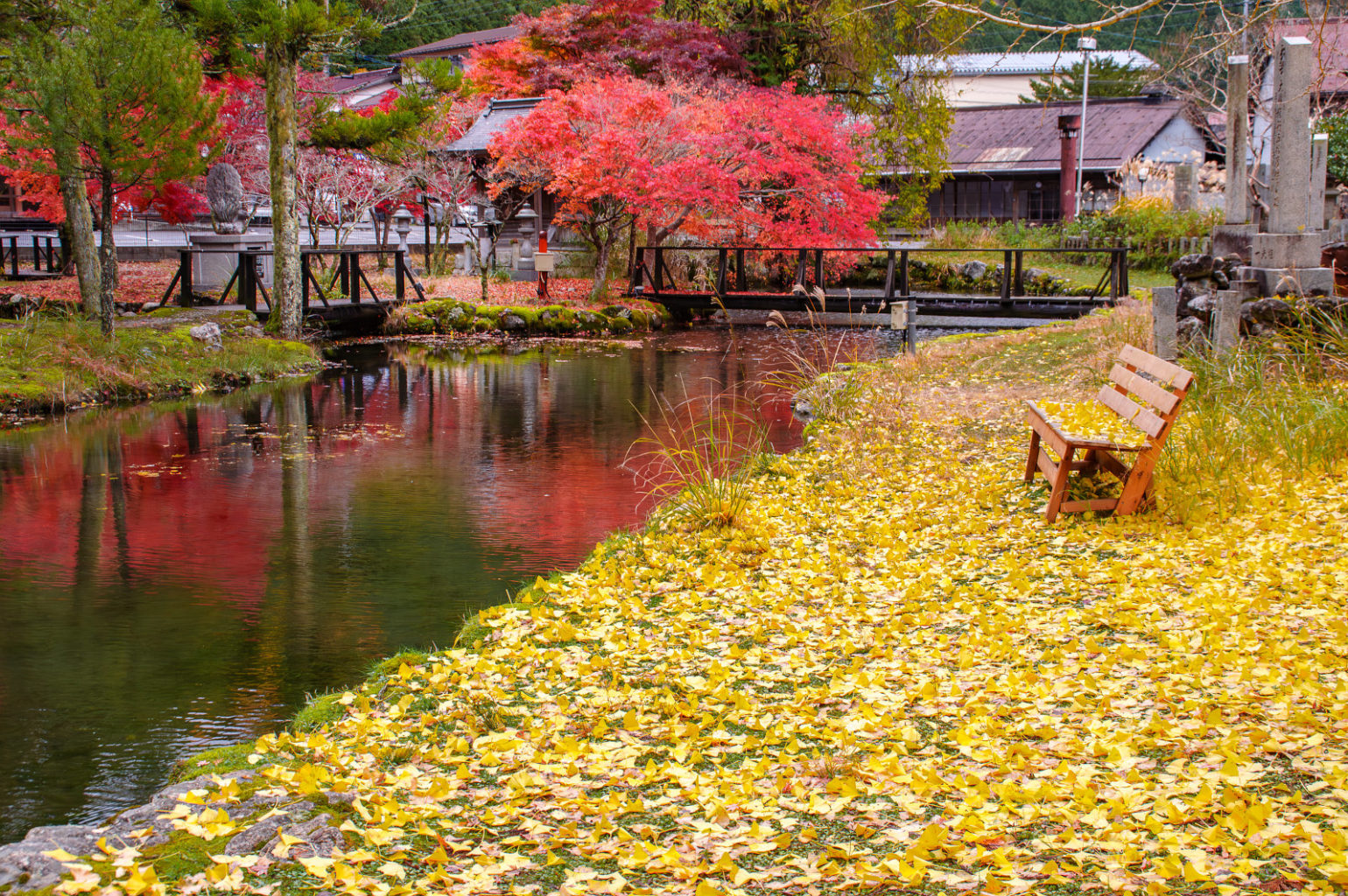 天川村　洞川　龍泉寺の紅葉