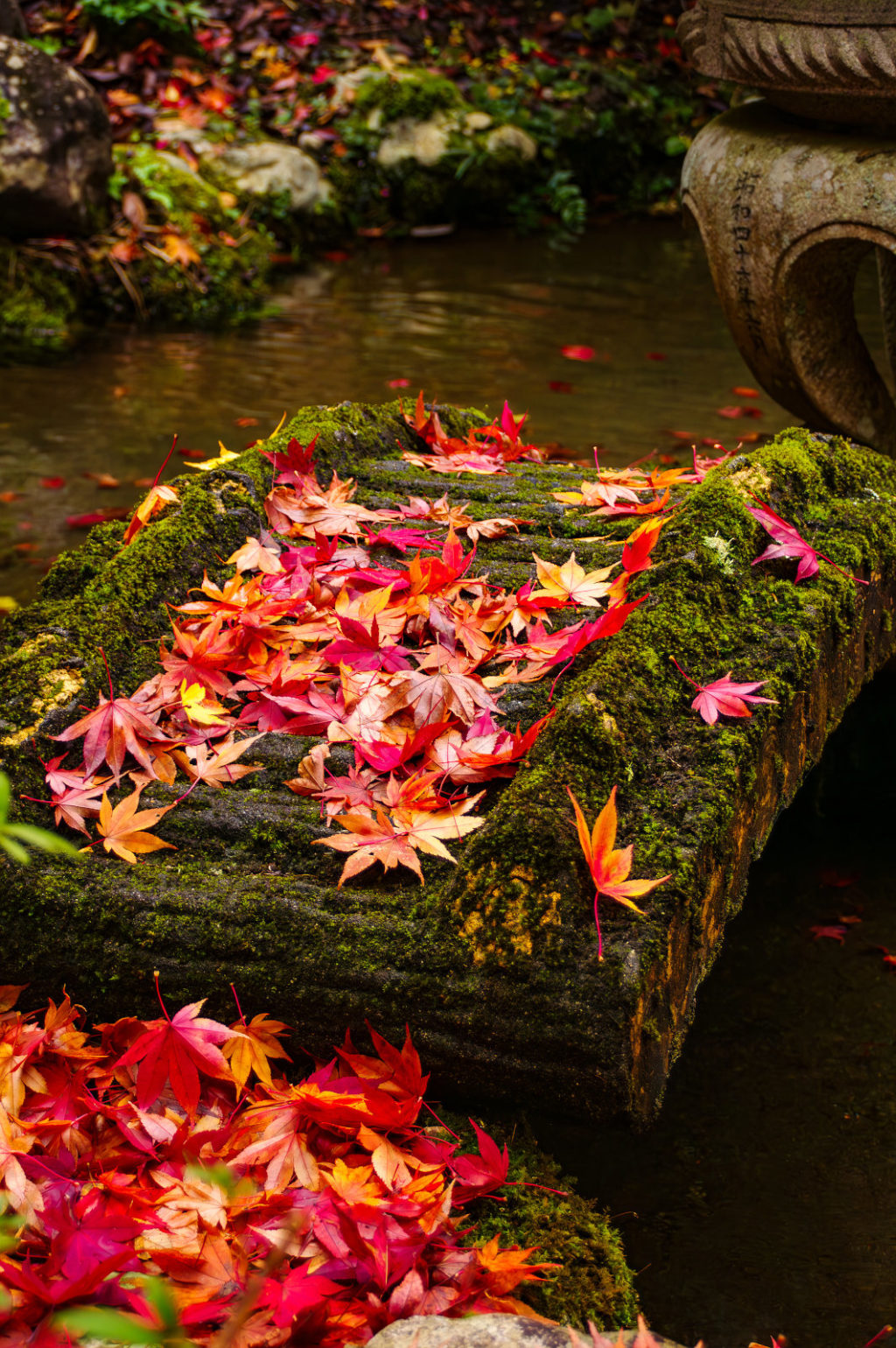 天川村　洞川　龍泉寺の紅葉