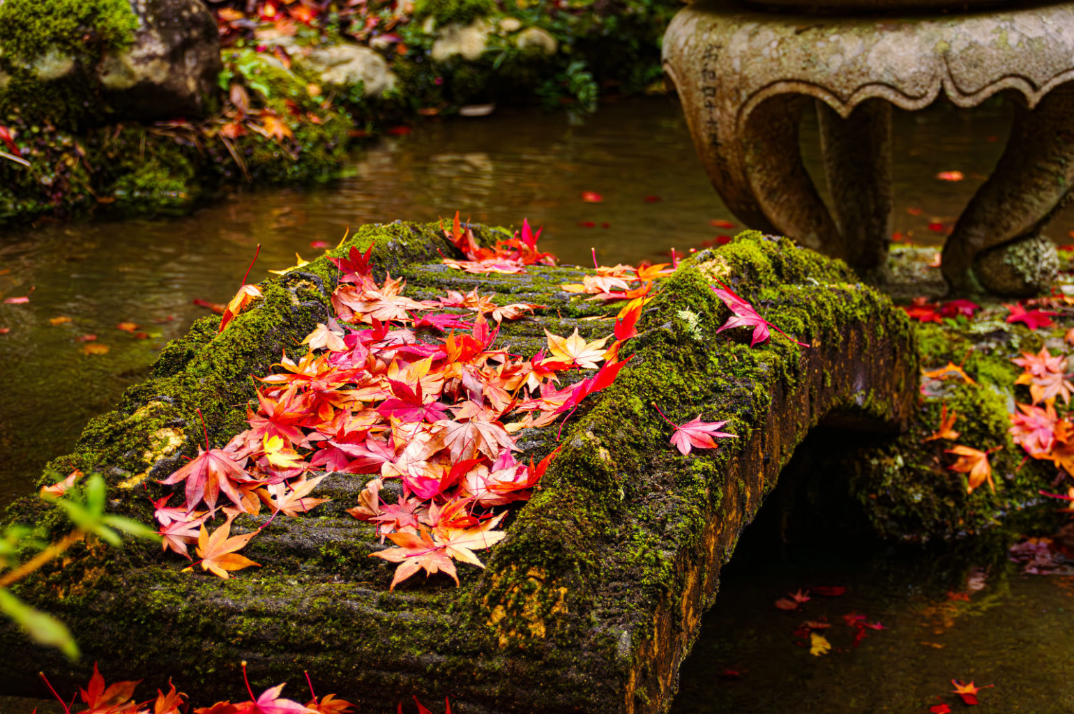 天川村　洞川　龍泉寺の紅葉