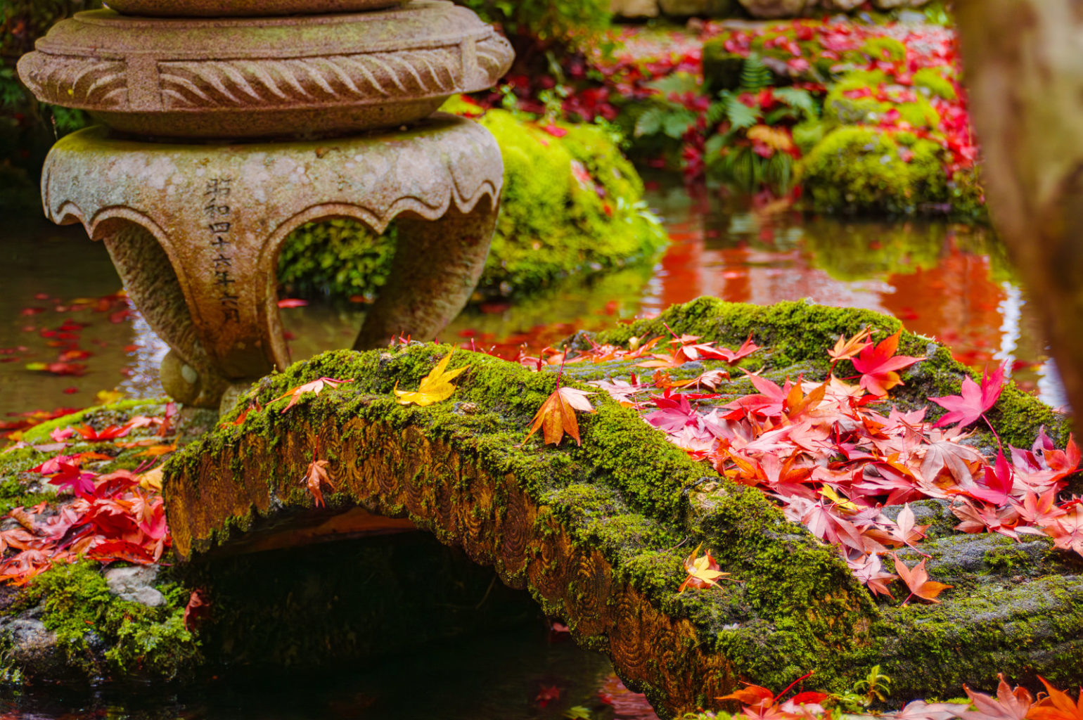 天川村　洞川　龍泉寺の紅葉