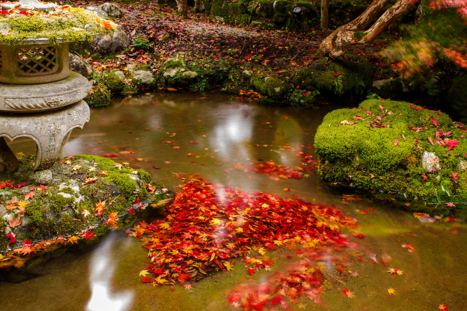 天川村　洞川　龍泉寺の紅葉