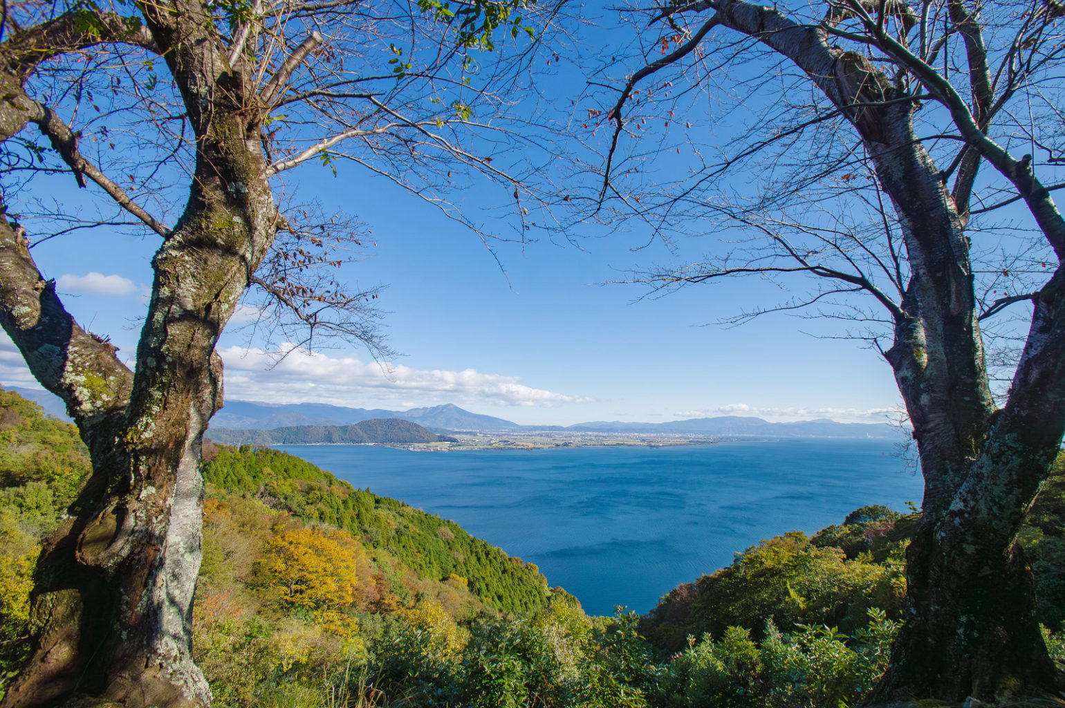 秋の琵琶湖の風景　2024