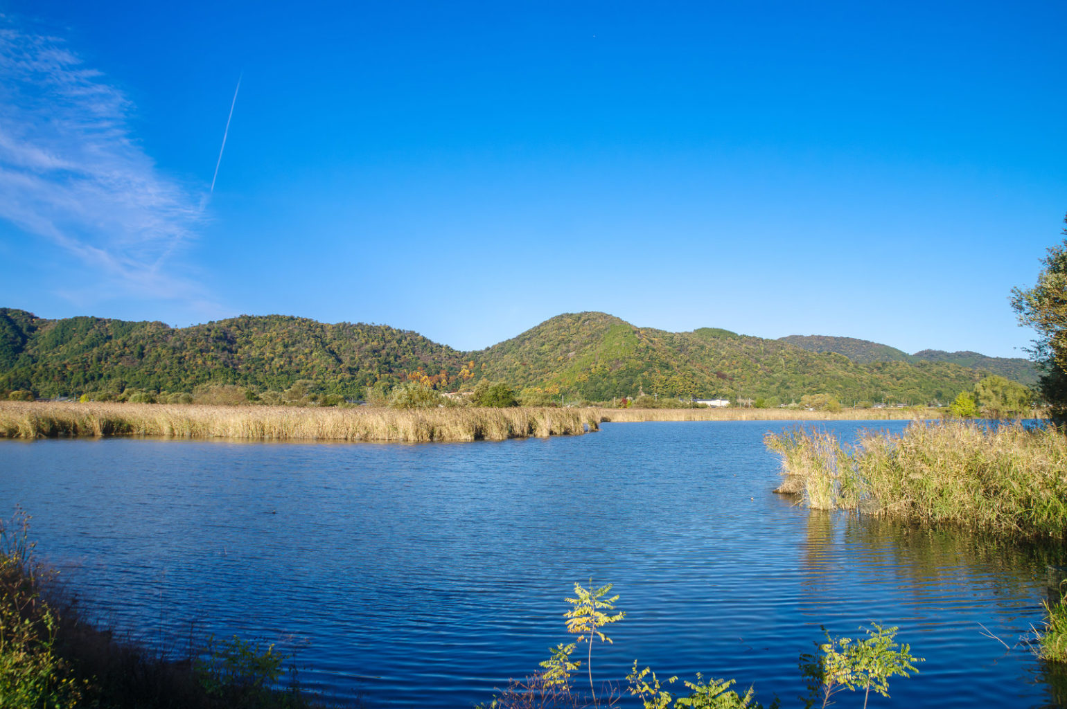 秋の近江八幡、西の湖の風景