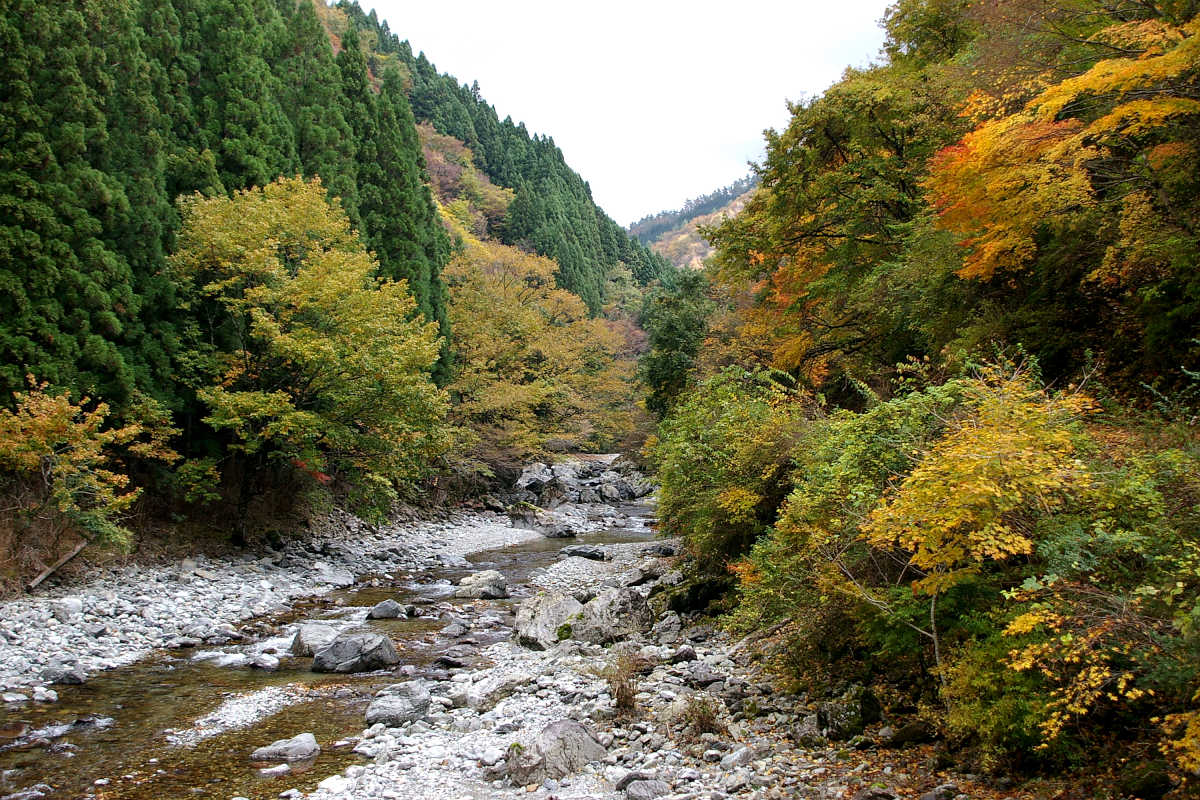 奈良･大塔町・舟の川の紅葉