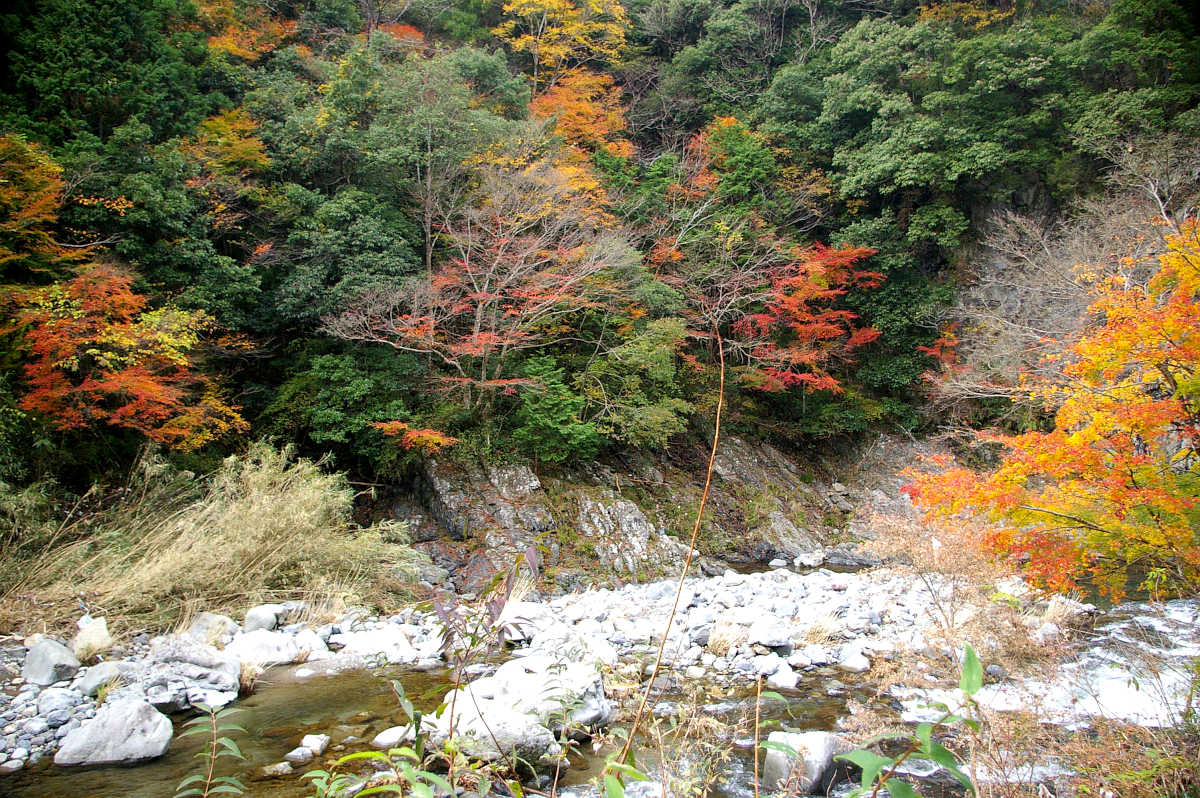 和歌山・橋本・玉川峡の紅葉