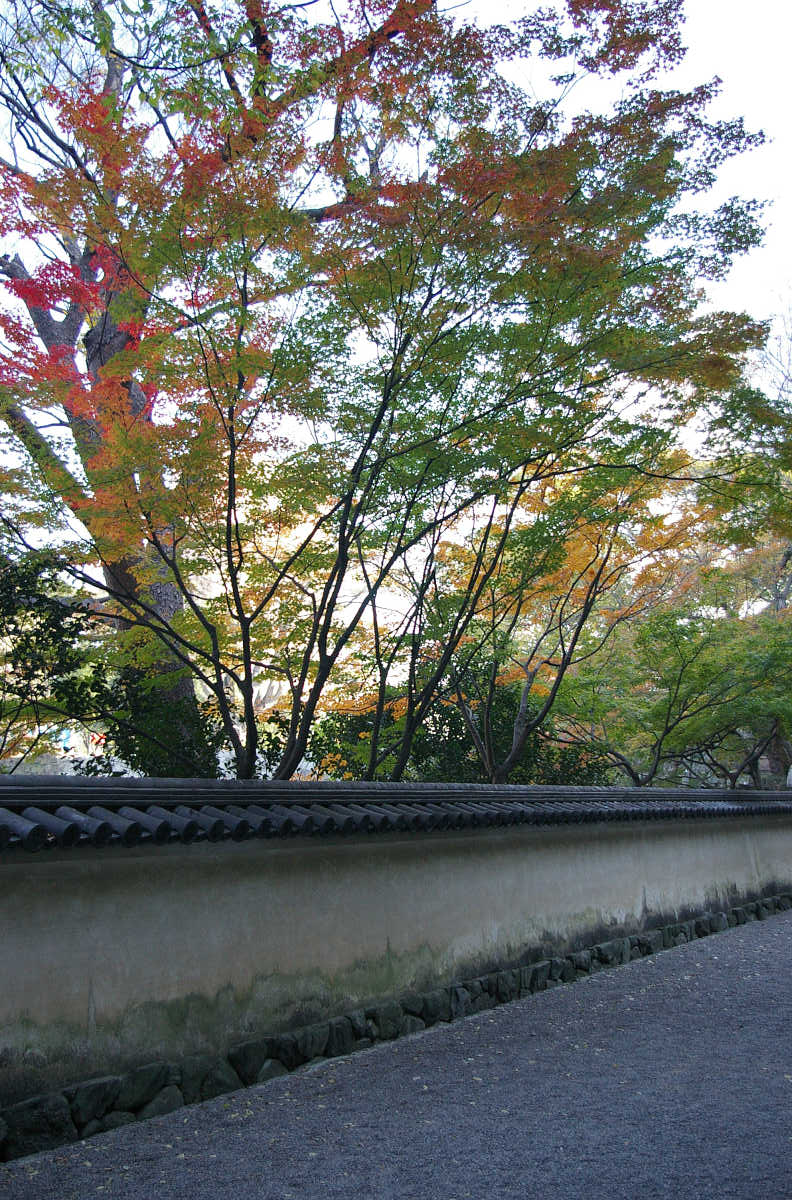 和歌山城　紅葉渓庭園の紅葉